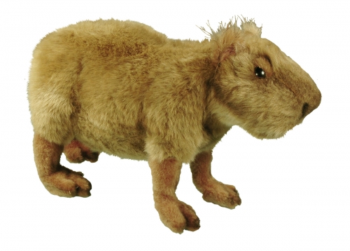 Wasserschwein (Capybara) 31 cm